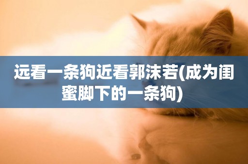 遠看一條狗近看郭沫若(成為閨蜜腳下的一條狗) 
