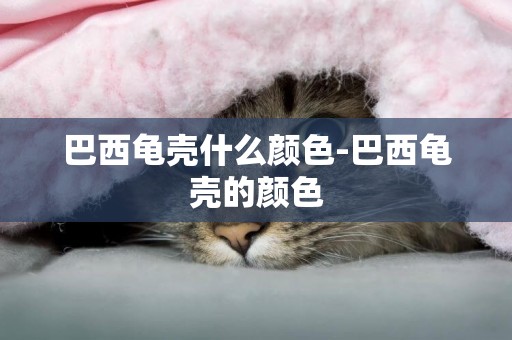巴西龜殼什么顏色-巴西龜殼的顏色