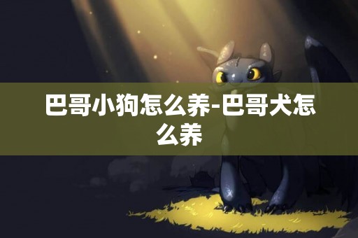 巴哥小狗怎么養-巴哥犬怎么養