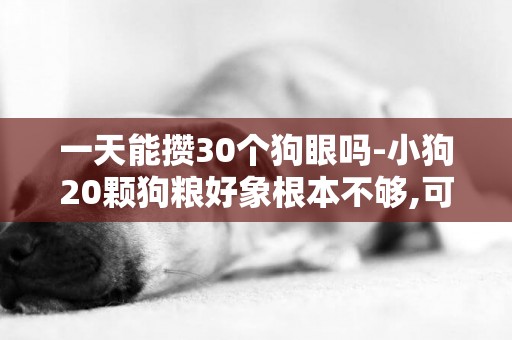 一天能攢30個狗眼嗎-小狗20顆狗糧好象根本不夠,可以一天4餐,一次30顆嗎?