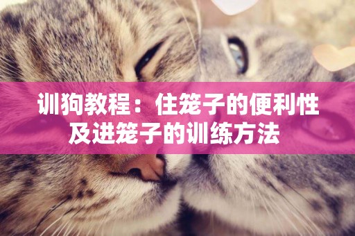 訓狗教程：住籠子的便利性及進籠子的訓練方法 