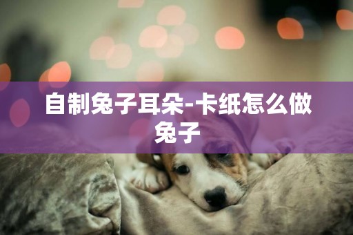 自制兔子耳朵-卡紙怎么做兔子