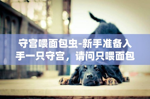 守宮喂面包蟲-新手準備入手一只守宮，請問只喂面包蟲和蟋