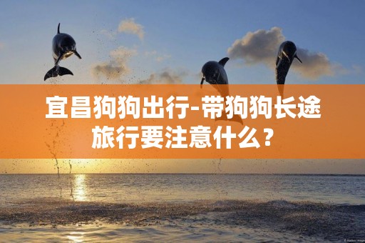 宜昌狗狗出行-帶狗狗長途旅行要注意什么？