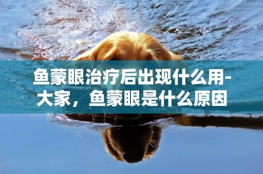 魚蒙眼治療后出現什么用-大家，魚蒙眼是什么原因