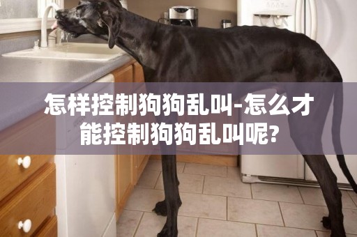 怎樣控制狗狗亂叫-怎么才能控制狗狗亂叫呢?