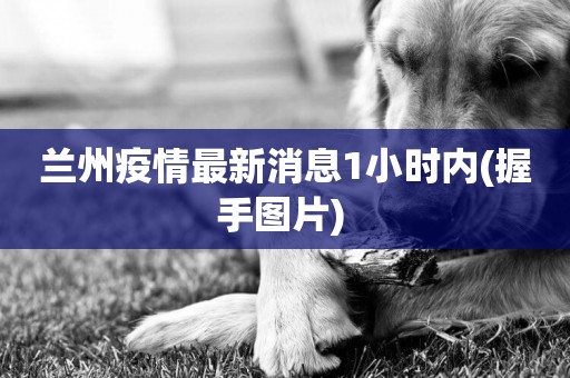 蘭州疫情最新消息1小時內(握手圖片) 