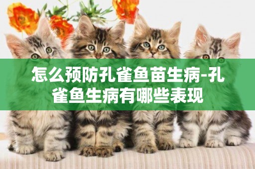 怎么預防孔雀魚苗生病-孔雀魚生病有哪些表現