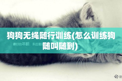 狗狗無繩隨行訓練(怎么訓練狗隨叫隨到) 