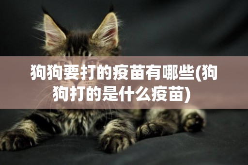 狗狗要打的疫苗有哪些(狗狗打的是什么疫苗) 
