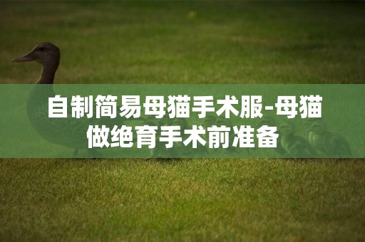 自制簡易母貓手術服-母貓做絕育手術前準備