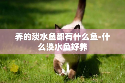 養的淡水魚都有什么魚-什么淡水魚好養