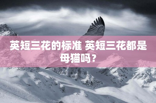 英短三花的標準 英短三花都是母貓嗎？