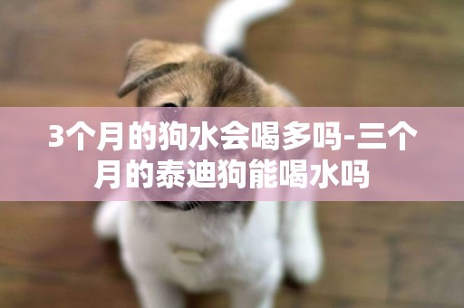3個月的狗水會喝多嗎-三個月的泰迪狗能喝水嗎
