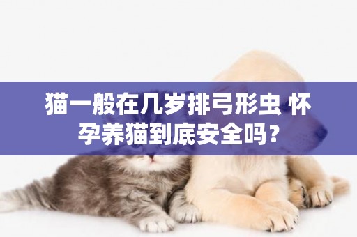 貓一般在幾歲排弓形蟲 懷孕養貓到底安全嗎？
