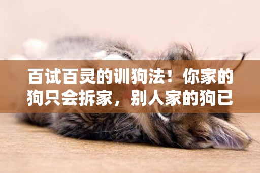 百試百靈的訓狗法！你家的狗只會拆家，別人家的狗已經會做家務了 