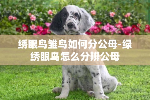 繡眼鳥雛鳥如何分公母-綠繡眼鳥怎么分辨公母