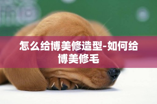 怎么給博美修造型-如何給博美修毛