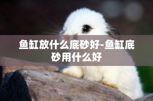 魚缸放什么底砂好-魚缸底砂用什么好