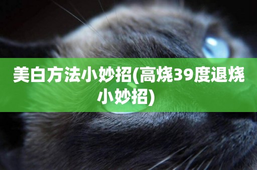 美白方法小妙招(高燒39度退燒小妙招) 