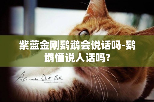 紫藍金剛鸚鵡會說話嗎-鸚鵡懂說人話嗎?