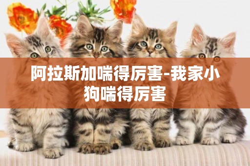 阿拉斯加喘得厲害-我家小狗喘得厲害