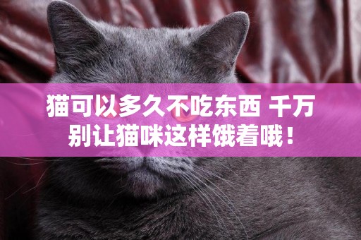 貓可以多久不吃東西 千萬別讓貓咪這樣餓著哦！