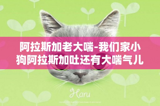 阿拉斯加老大喘-我們家小狗阿拉斯加吐還有大喘氣兒怎么辦啊？