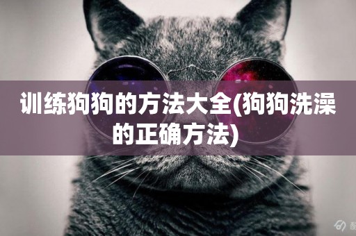 訓練狗狗的方法大全(狗狗洗澡的正確方法) 