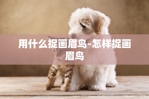 用什么捉畫眉鳥-怎樣捉畫眉鳥
