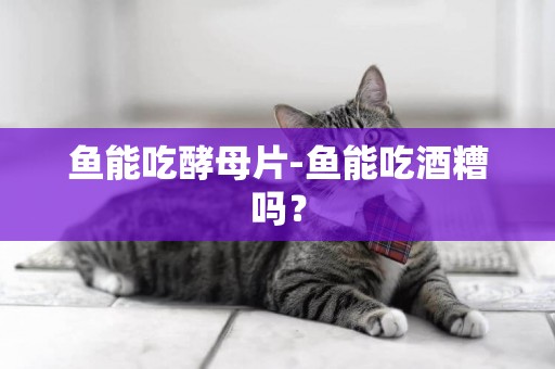 魚能吃酵母片-魚能吃酒糟嗎？