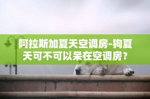 阿拉斯加夏天空調房-狗夏天可不可以呆在空調房？