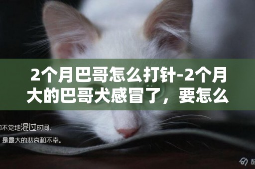 2個月巴哥怎么打針-2個月大的巴哥犬感冒了，要怎么辦？