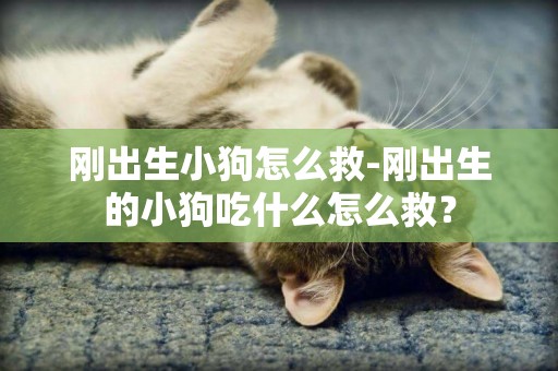 剛出生小狗怎么救-剛出生的小狗吃什么怎么救？