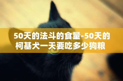 50天的法斗的食量-50天的柯基犬一天要吃多少狗糧 求解答