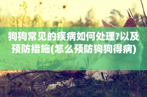 狗狗常見的疾病如何處理?以及預防措施(怎么預防狗狗得病) 