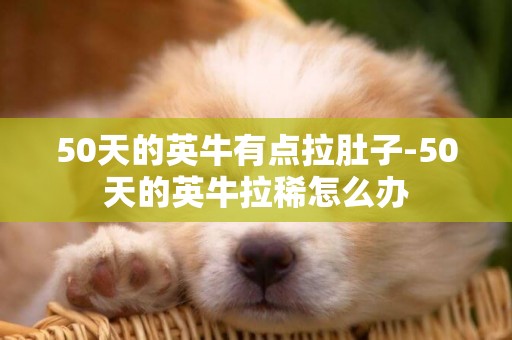 50天的英牛有點拉肚子-50天的英牛拉稀怎么辦