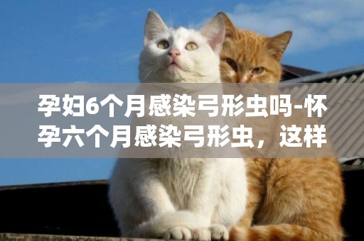 孕婦6個月感染弓形蟲嗎-懷孕六個月感染弓形蟲，這樣的情況怎么辦