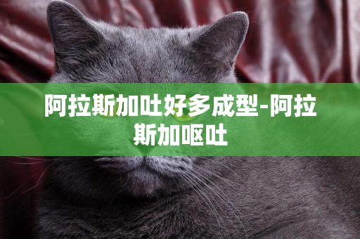 阿拉斯加吐好多成型-阿拉斯加嘔吐