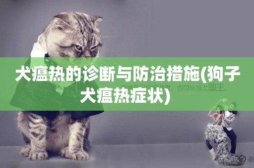 犬瘟熱的診斷與防治措施(狗子犬瘟熱癥狀) 