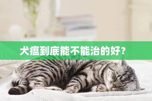 犬瘟到底能不能治的好？ 