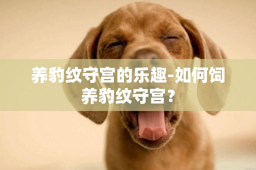 養豹紋守宮的樂趣-如何飼養豹紋守宮？