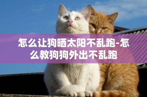 怎么讓狗曬太陽不亂跑-怎么教狗狗外出不亂跑