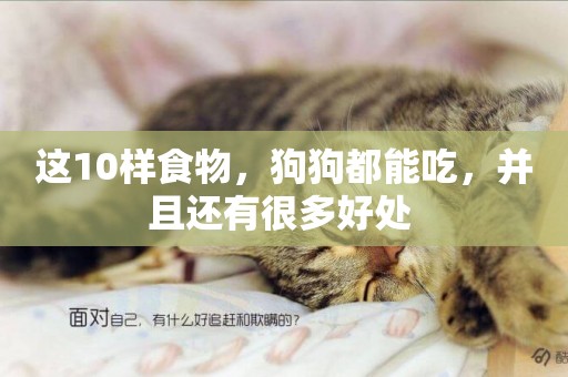 這10樣食物，狗狗都能吃，并且還有很多好處 
