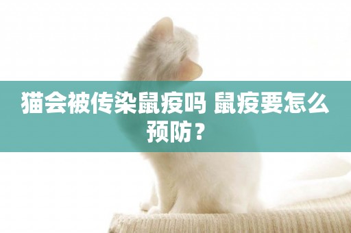 貓會被傳染鼠疫嗎 鼠疫要怎么預防？