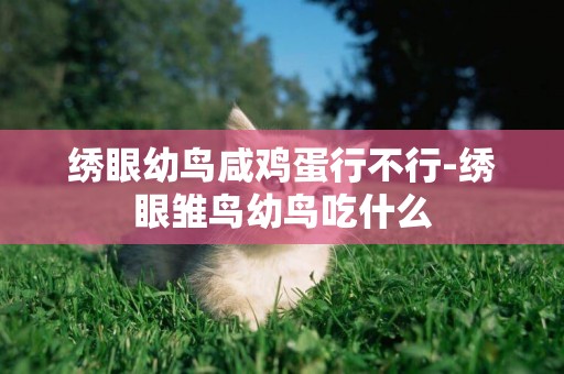 繡眼幼鳥咸雞蛋行不行-繡眼雛鳥幼鳥吃什么