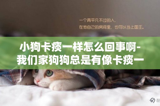 小狗卡痰一樣怎么回事啊-我們家狗狗總是有像卡痰一樣的動靜，怎么回事？