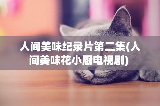 人間美味紀錄片第二集(人間美味花小廚電視劇) 