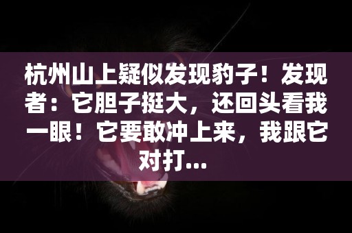杭州山上疑似發現豹子！發現者：它膽子挺大，還回頭看我一眼！它要敢沖上來，我跟它對打... 