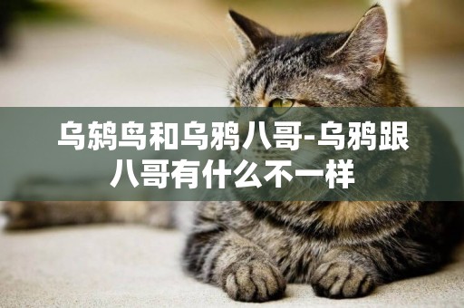 烏鶇鳥和烏鴉八哥-烏鴉跟八哥有什么不一樣